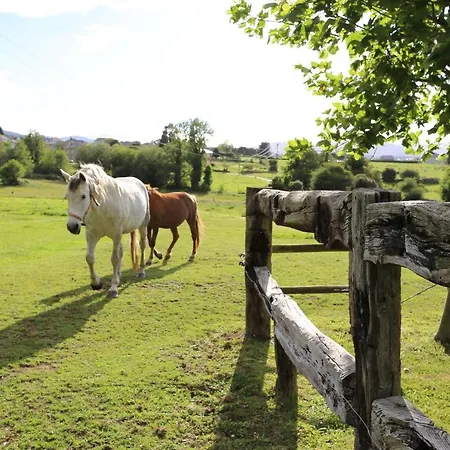 Vacaciones Appartement *
